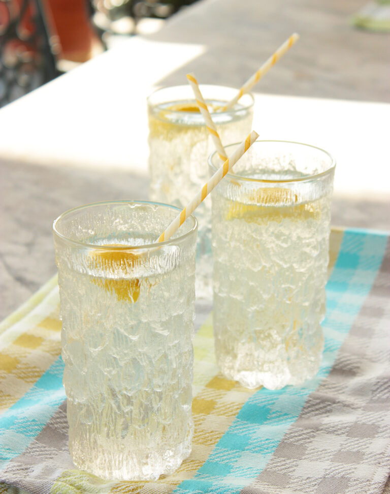Summer Vodka Spritzer easy drink cocktail recipe low cal