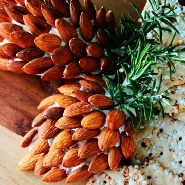 Christmas pine cone cranberry cheese balls by the petite cook