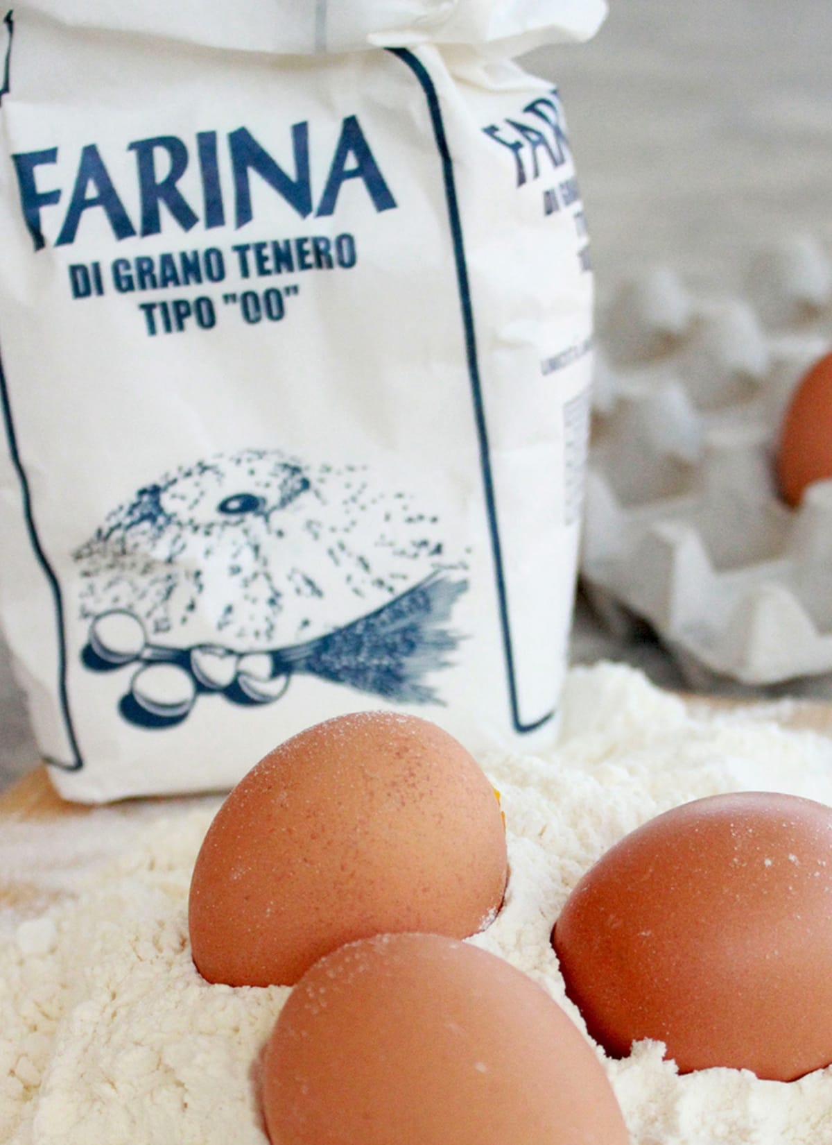 homemade pasta recipe ingredients: eggs and 00 flour.