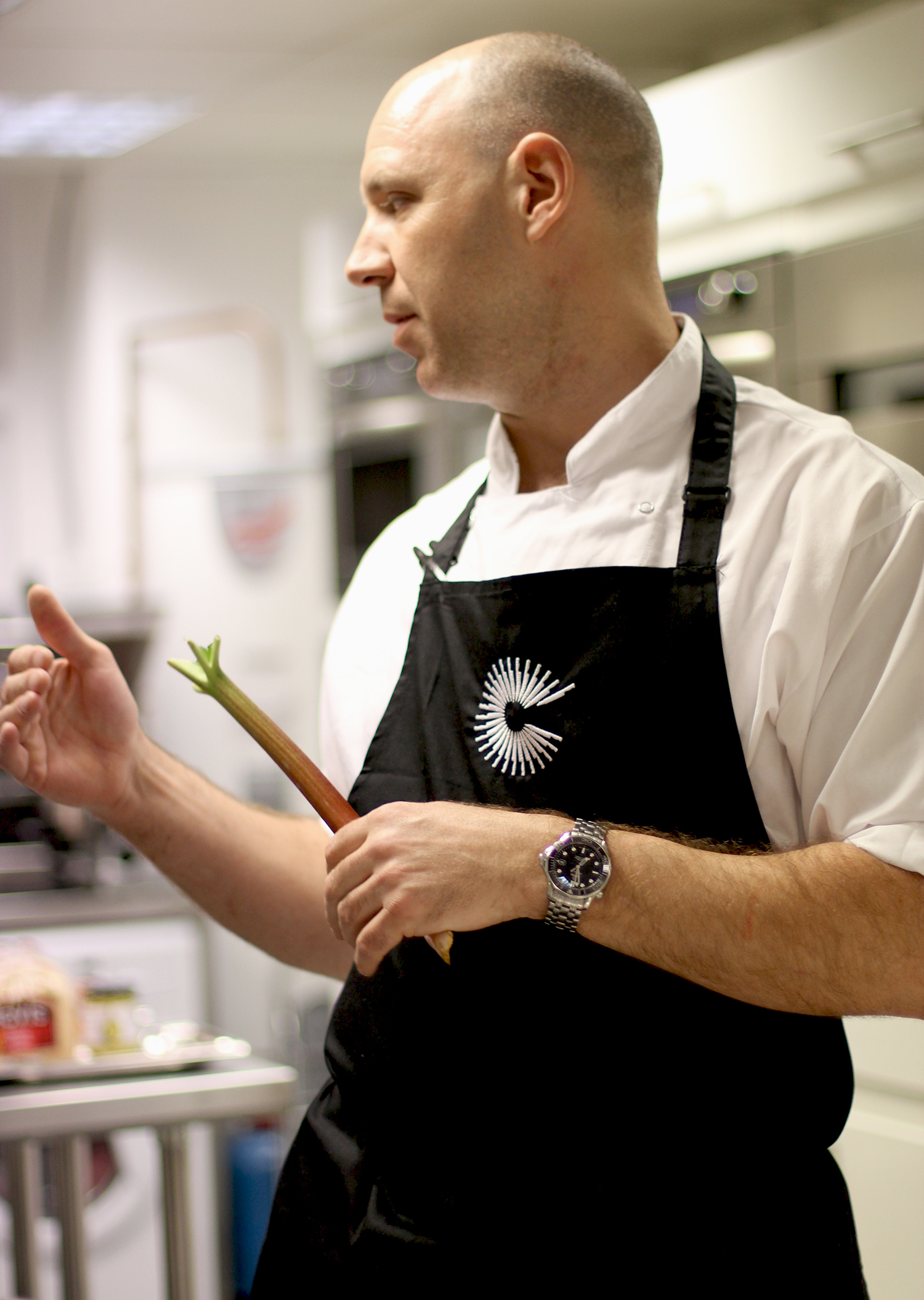 Culinary Symphony Boston Engagement Restaurants With Michelin Starred Chefs - y66xd68