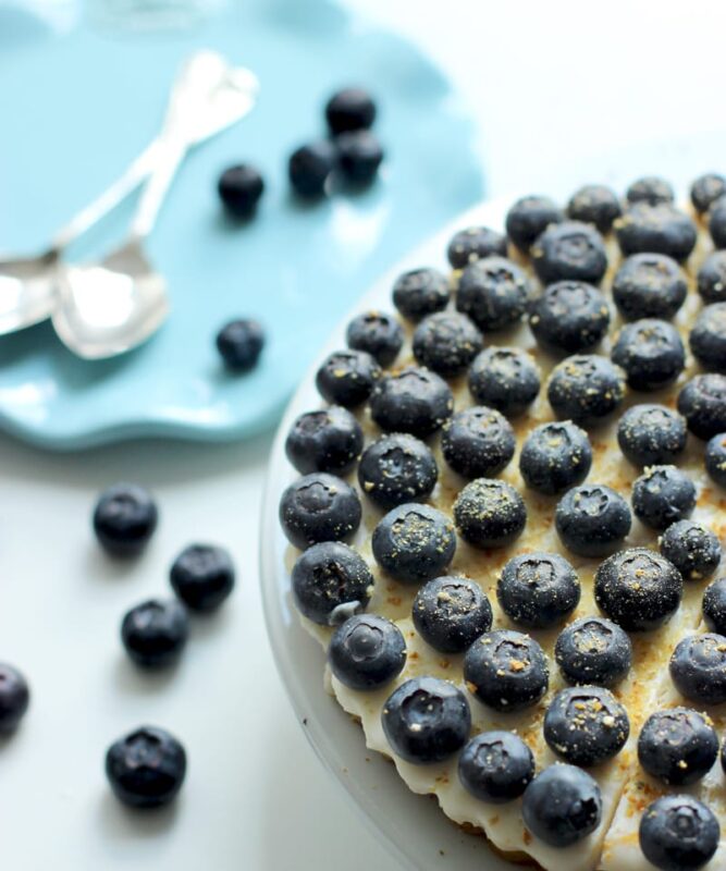 blueberry-cheesecake