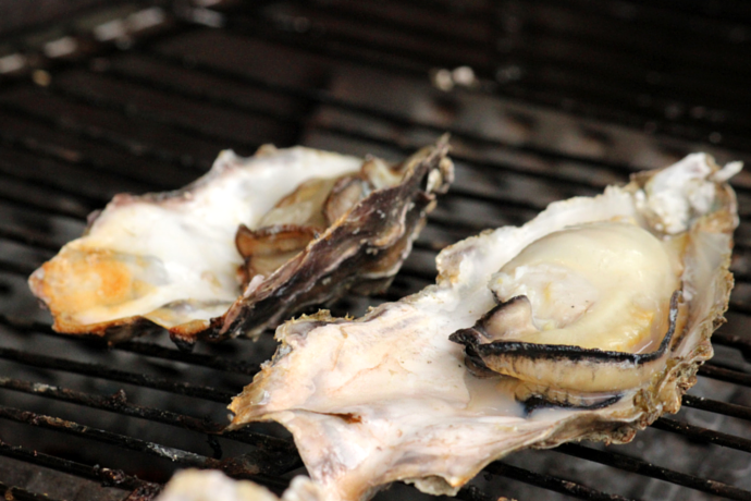Japanese traditional grilled oysters 2
