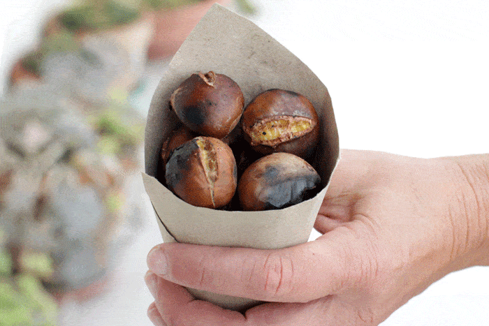 How To Make Roasted Chestnuts - There's nothing more comforting of the wonderful aroma of roasted chestnuts on a cold fall/winter day. Learn all the tricks to make this healthy treat and enjoy during the winter holidays.