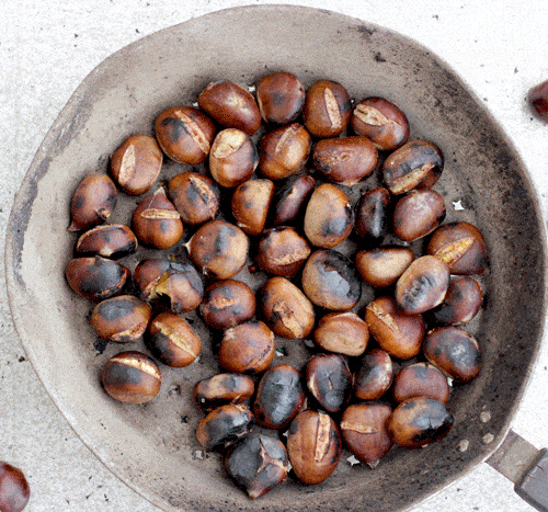 How To Make Perfectly Roasted Chestnuts to Roast Chestnuts Without Losing Your