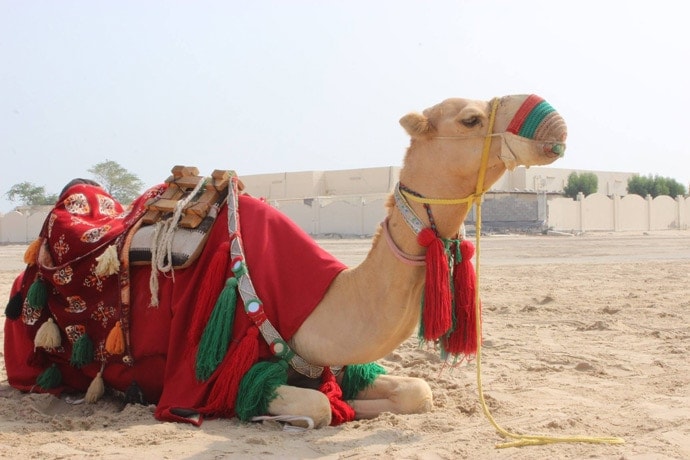 Doha mini guide: where to eat, stay and have fun - Get the most out of your next holiday in Qatar with these top tips!