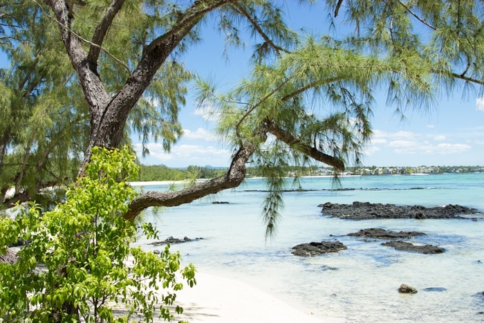 6 Top Favorite Things To Do In MAuritius - Whether you're looking for adventures, sample new foods, or simply want to relax on the breath-taking beaches, Mauritius is definitely the place to go to.