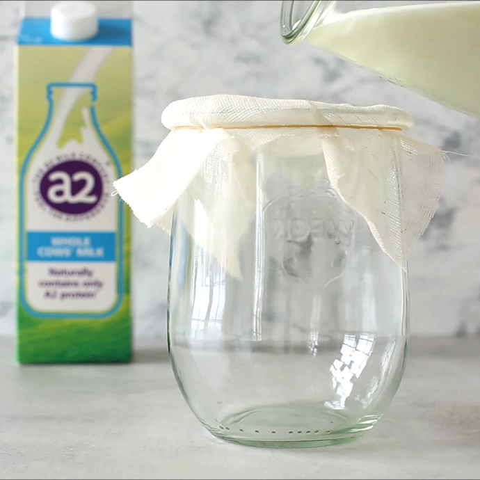 glass jar covered with cheese cloth,, glass jug pouring homemade kefir into the jar, a2 milk carton in the background