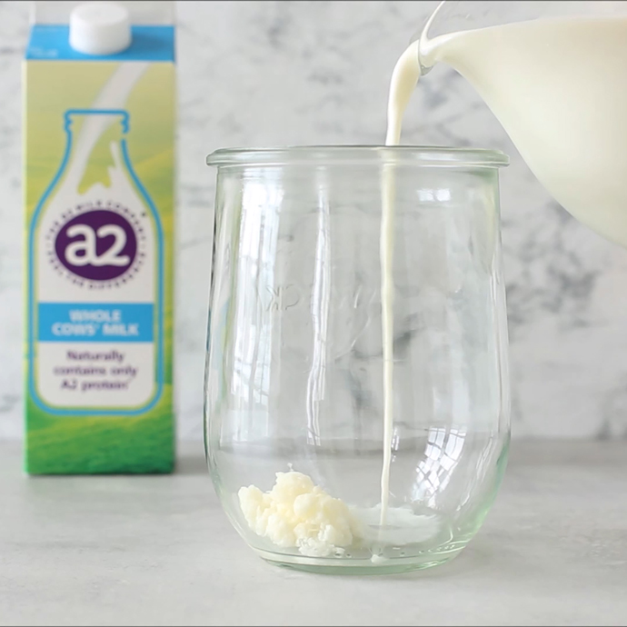 glass jar with kefir grains, glass jug pouring milk into the jar, a2 milk carton in the background