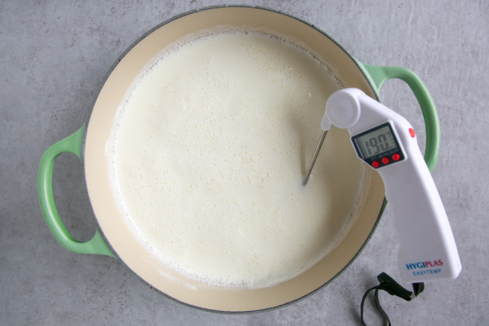 milk and the top of an instant reader thermometer in a large cast iron pot with green handles