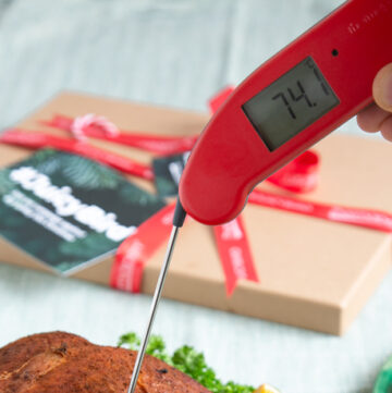 hand holding a thermapen