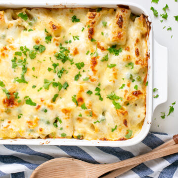 creamy tuna pasta bake in a large baking dish