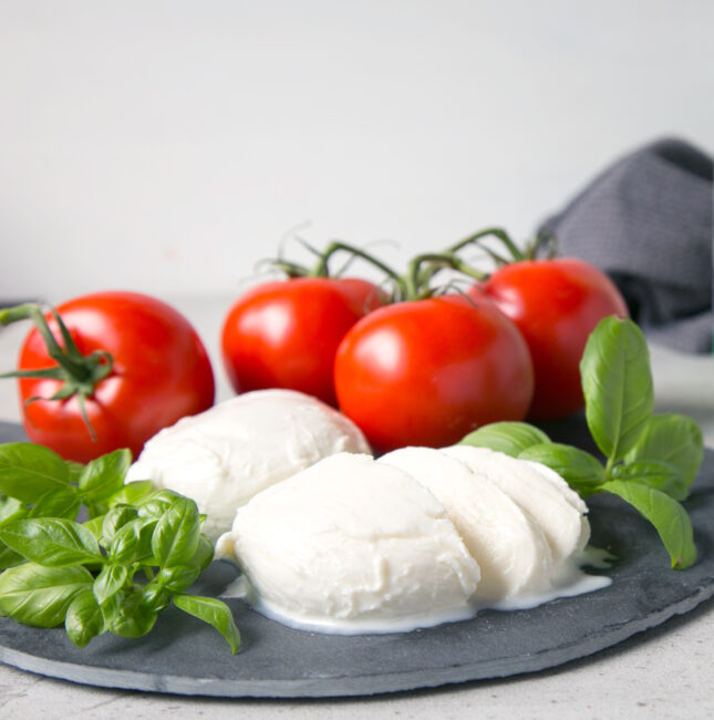 Easy Homemade Mozzarella The Petite Cook™