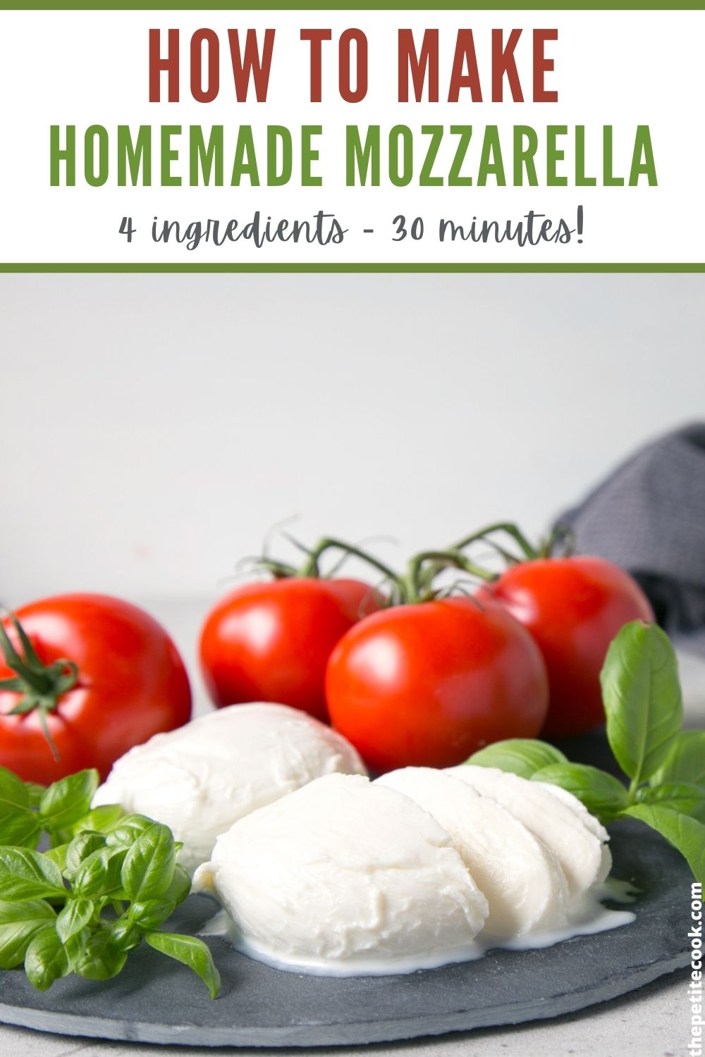 Easy Homemade Mozzarella The Petite Cook™