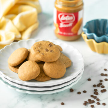 vegan Biscoff cookies with and wihout chocolate chips served on a plate.