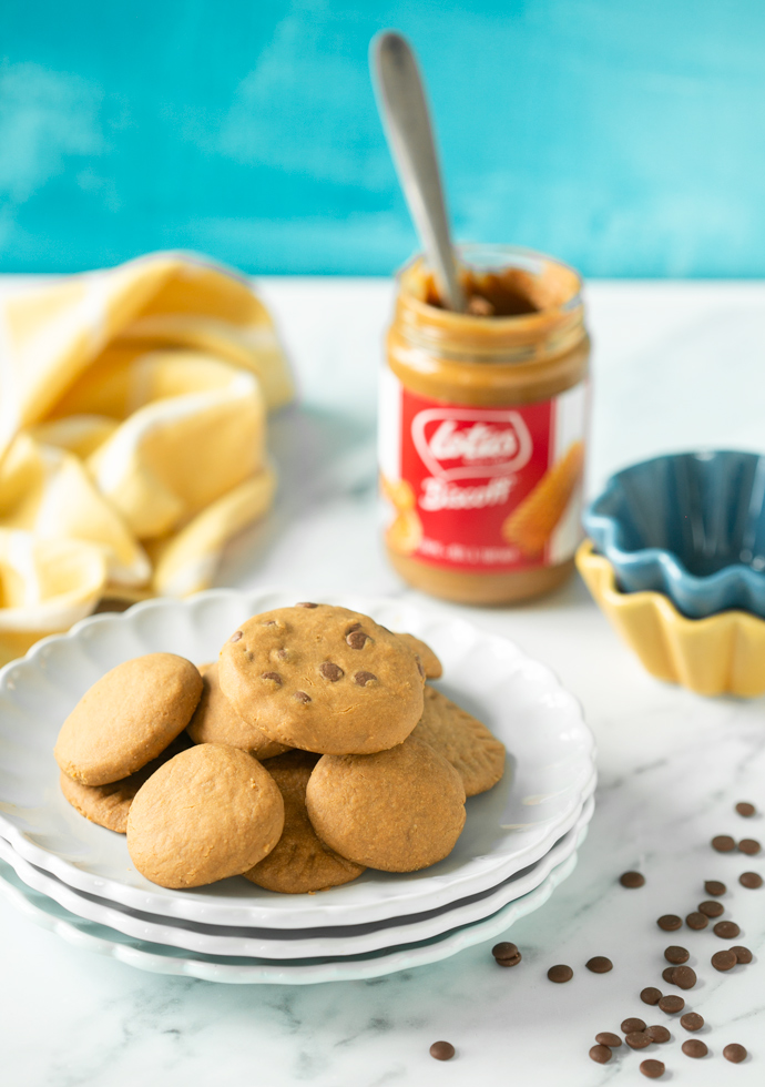 vegan Biscoff cookies with and wihout chocolate chips served on a plate.