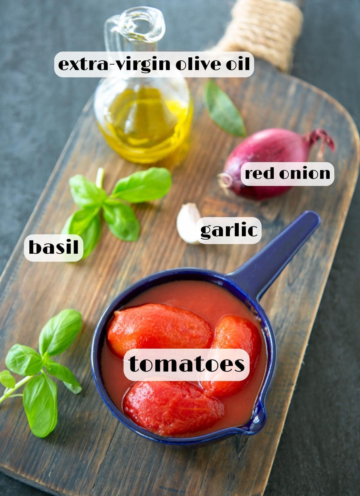 italian tomato sauce ingredients: red onion, canned whole tomatoes, garlic clove, basil leaves, olive oil.