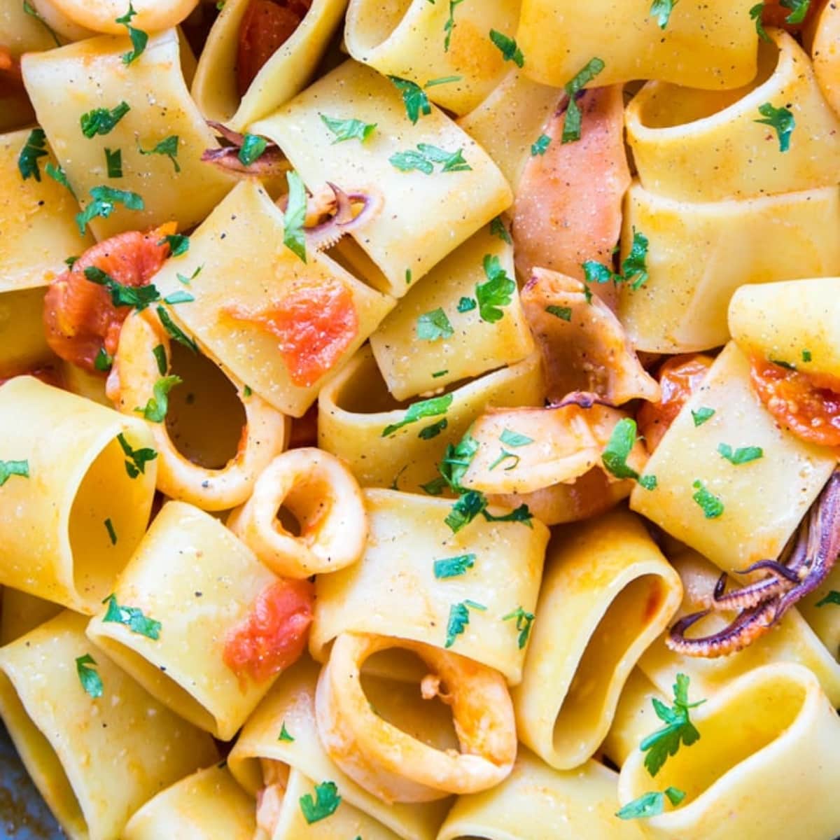 calamarata pasta recipe.