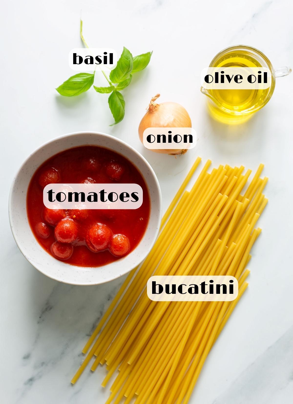 bucatini pomodoro ingredients: bucatini pasta, tomatoes, basil, onion, extra virgin olilve oil.