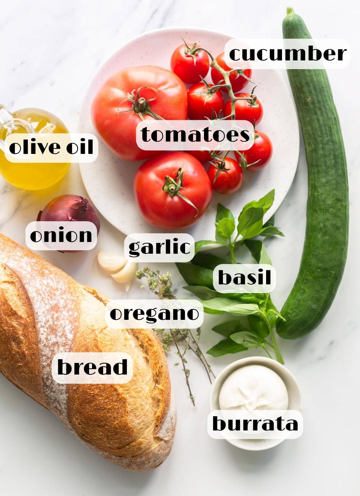 burrata panzanella ingredients: burrata, stale bread, tomatoes, basil, cucumber, garlic, onion, olive oil, oregano.