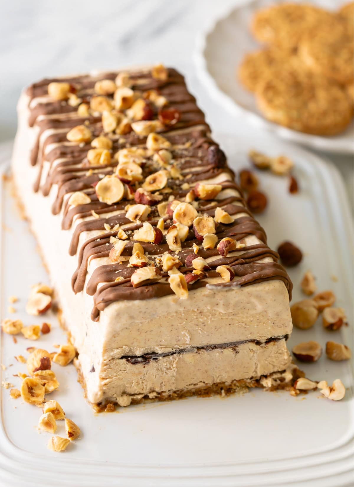 gelato cake with chocolate and hazelnut flavor.